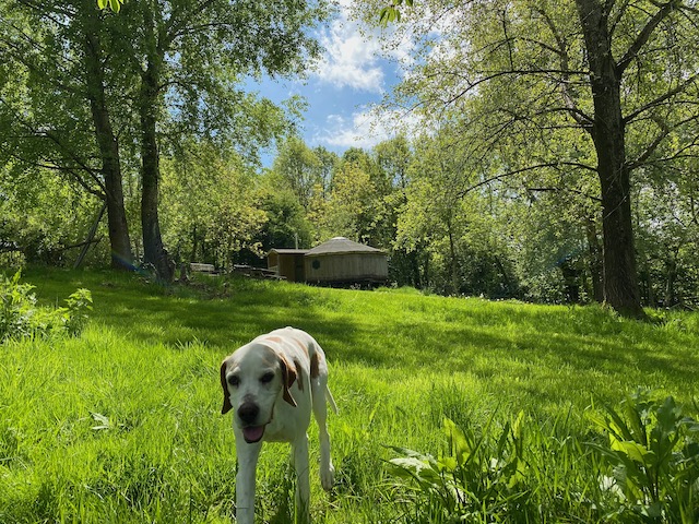 Milla outside ash yurt